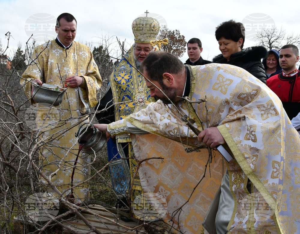 Харманли - Свети Трифон