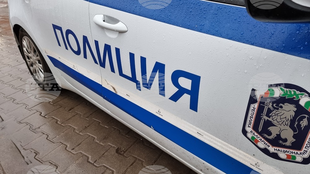 Катастрофа между четири превозни средства е станала тази сутрин на главен път Е-79 във Видинско