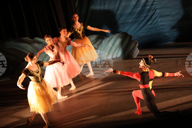 Благоевград - Лебедово езеро - балет