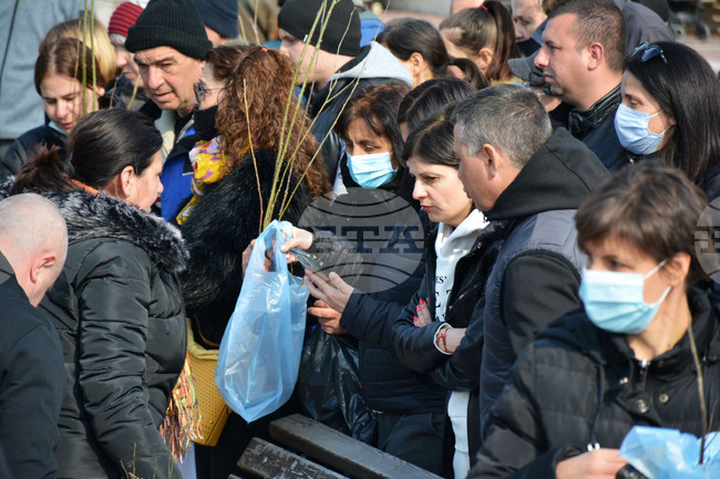 Благоевград - „Гората.бг" - фиданки