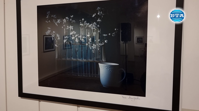 Фотографът Петя Василева подреди „Алхимия“ в Ямбол, която е част от фестивала „Кукерландия“