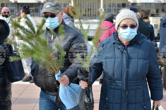 Благоевград - „Гората.бг" - фиданки