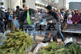 Благоевград - „Гората.бг" - фиданки