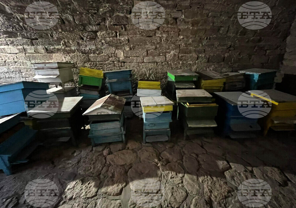 Видин - крепостта Баба Вида - туристи