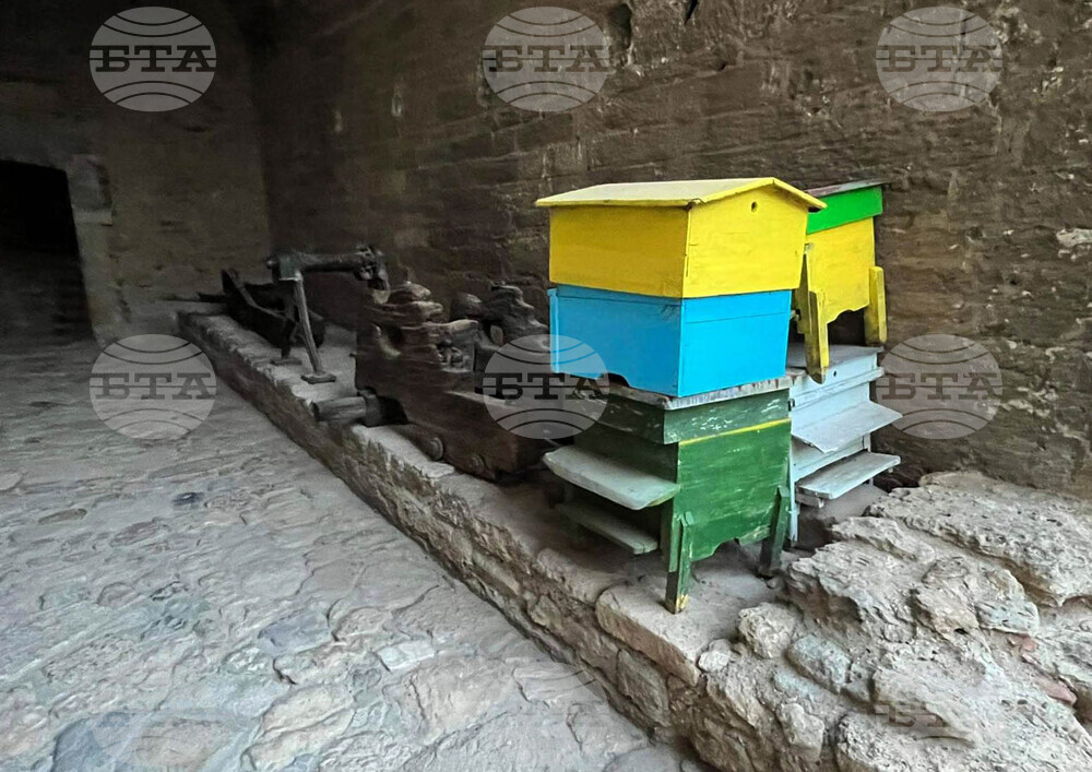 Видин - крепостта Баба Вида - туристи