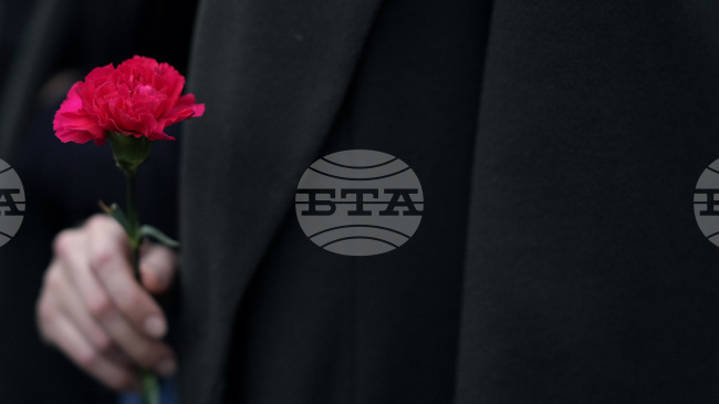 Днес се навършват 15 години от антиправителствен протест в Албания през 2011 г., при който четирима души са убити с огнестрелно оръжие