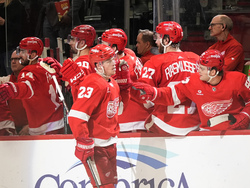 Coyotes Red Wings Hockey