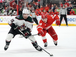 Coyotes Red Wings Hockey