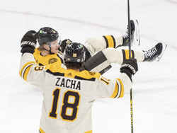 Bruins Canadiens Hockey