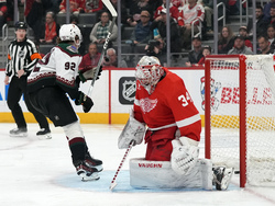 Coyotes Red Wings Hockey
