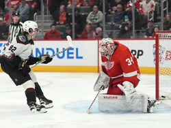 Coyotes Red Wings Hockey