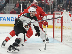 Coyotes Red Wings Hockey