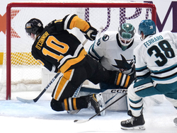 Sharks Penguins Hockey