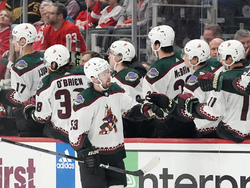 Coyotes Red Wings Hockey