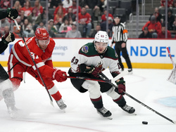 Coyotes Red Wings Hockey