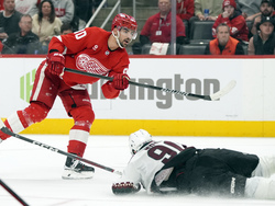 Coyotes Red Wings Hockey