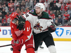 Coyotes Red Wings Hockey