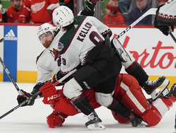 Coyotes Red Wings Hockey