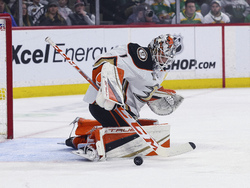 Ducks Wild Hockey