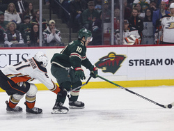 Ducks Wild Hockey