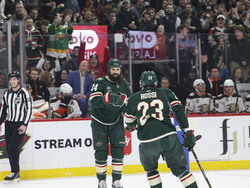 Ducks Wild Hockey