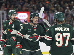 Ducks Wild Hockey