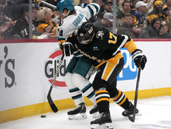 Sharks Penguins Hockey