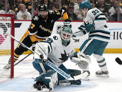 Sharks Penguins Hockey