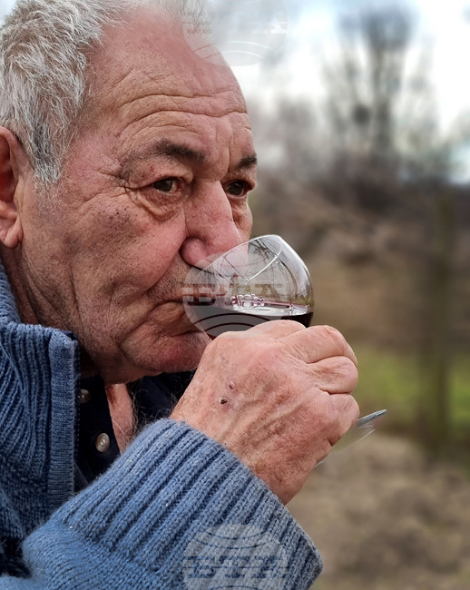 Варна - Трифон Зарезан - празник