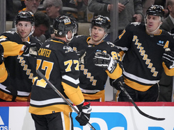 Sharks Penguins Hockey
