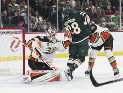 Ducks Wild Hockey