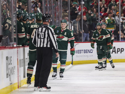 Ducks Wild Hockey