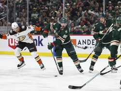 Ducks Wild Hockey