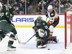 Ducks Wild Hockey