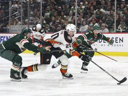 Ducks Wild Hockey