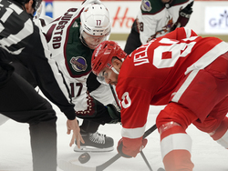 Coyotes Red Wings Hockey