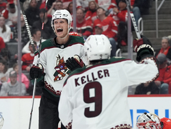 Coyotes Red Wings Hockey
