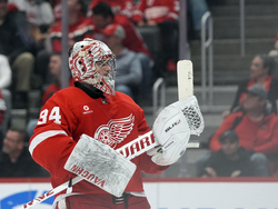 Coyotes Red Wings Hockey
