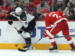 Coyotes Red Wings Hockey