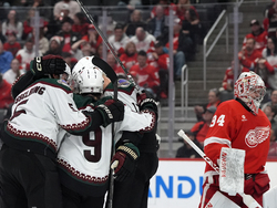 Coyotes Red Wings Hockey