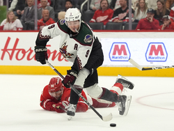 Coyotes Red Wings Hockey