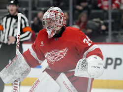 Coyotes Red Wings Hockey