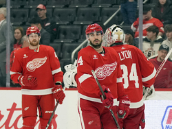 Coyotes Red Wings Hockey