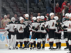 Coyotes Red Wings Hockey