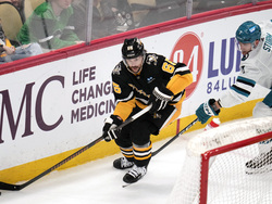 Sharks Penguins Hockey
