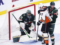 Ducks Wild Hockey