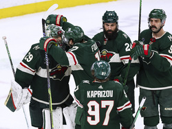 Ducks Wild Hockey