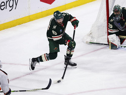 Ducks Wild Hockey