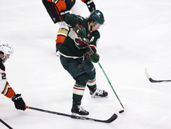 Ducks Wild Hockey