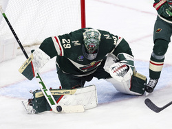 Ducks Wild Hockey